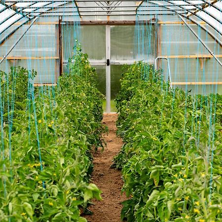 Mothir Joerth Organic Farm Guesthouse In Vallanes Экстерьер фото